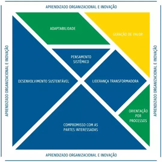 Pensando nos diferentes novos modelos organizacionais existentes, as  caracterizações de interligação com 